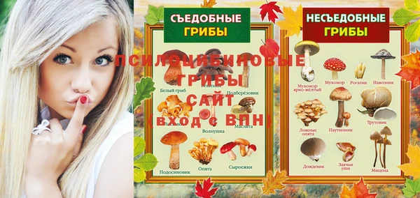 скорость Алзамай