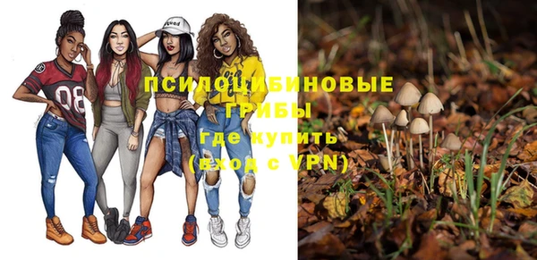 бошки Алексеевка
