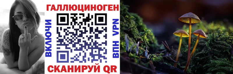 кракен маркетплейс  Мирный  Галлюциногенные грибы MAGIC MUSHROOMS 