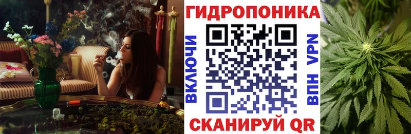 Бошки Шишки White Widow  цены наркотик  Мирный 